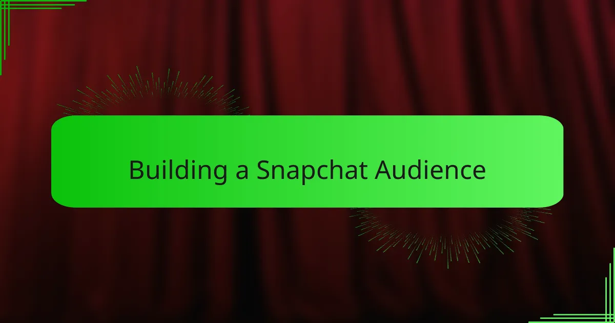 Building a Snapchat Audience