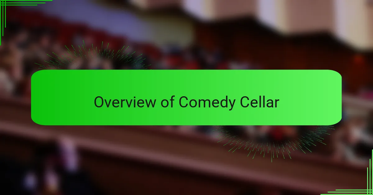 Overview of Comedy Cellar